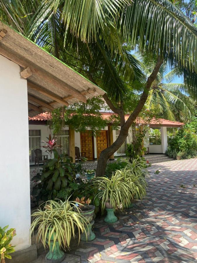 Island Breeze Inn Nilaveli Eksteriør billede